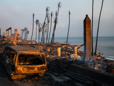 ФОТО: Лос Анжелесын түймэр